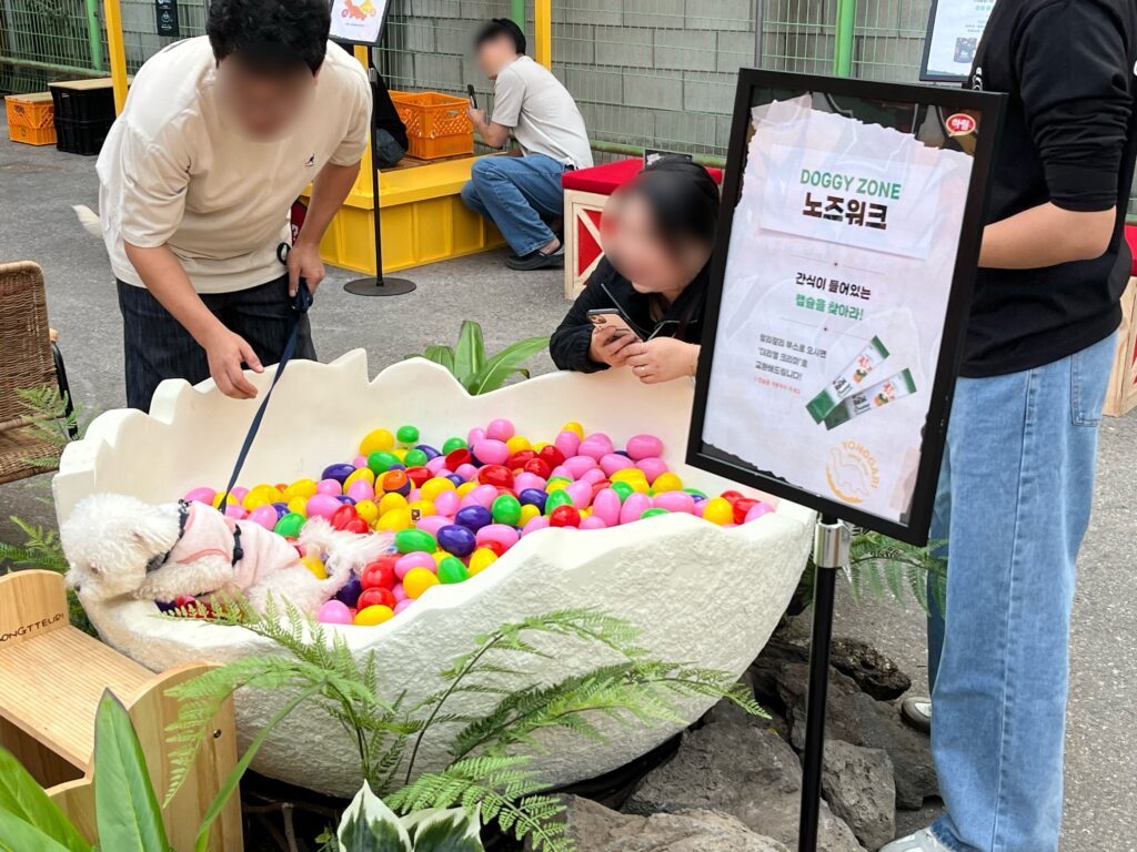 용가리 팝업 도기존 반려견 게임